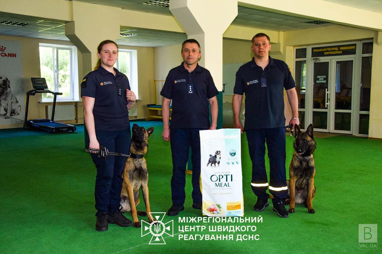  Бельгійські вівчарки з Франції шукатимуть людей під завалами на Чернігівщині. ФОТО