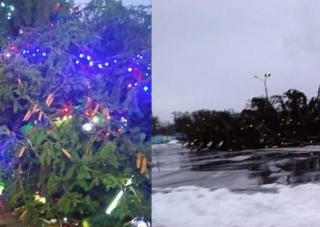 У Коропі та Носівці через сильний вітер впали новорічні ялинки