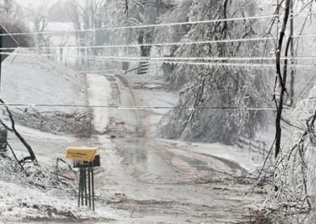 На Чернігівщині через «крижаний дощ» 58 сіл залишилися без електрики